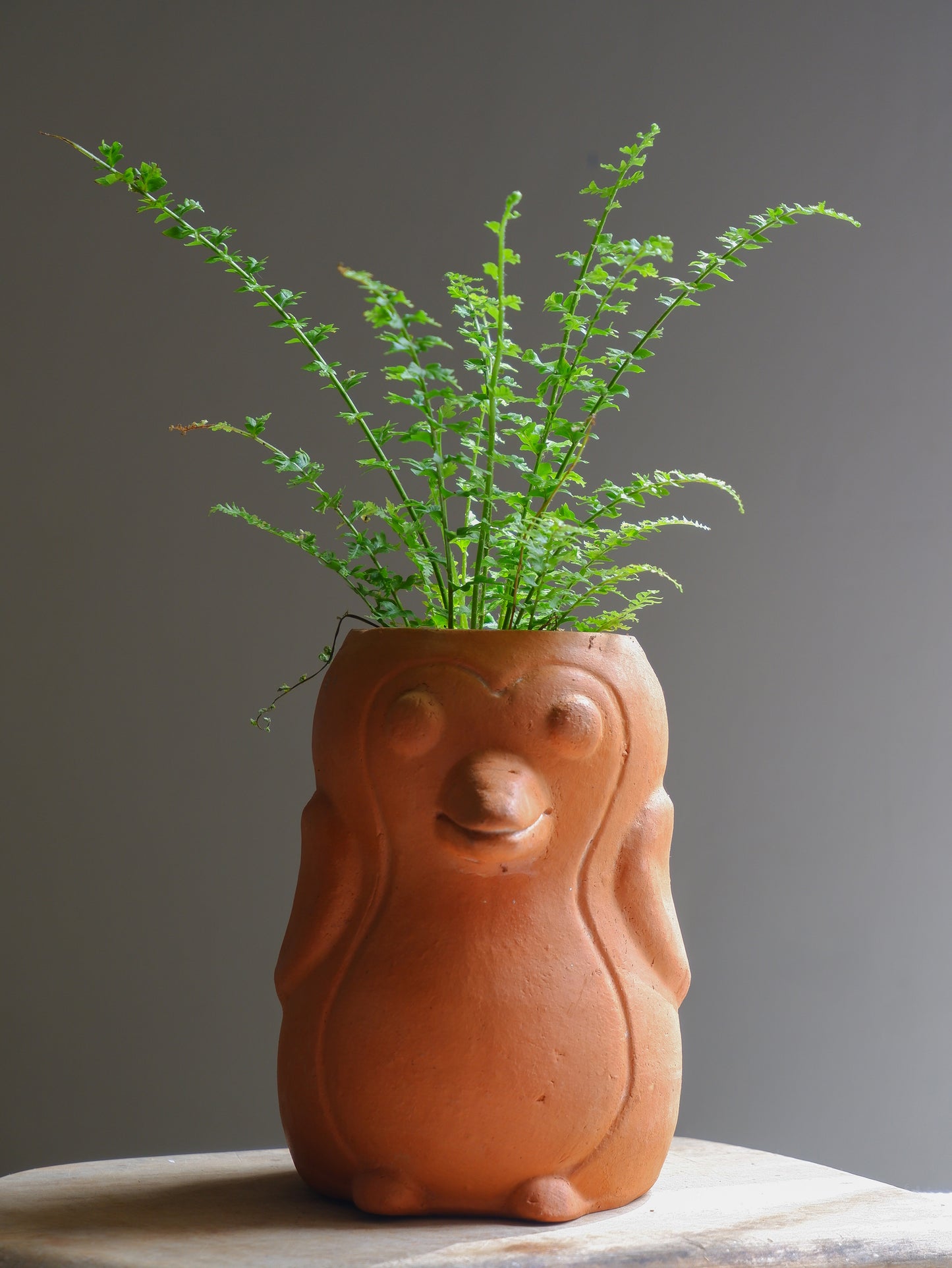Skipper Terracotta Planter- Seconds Sale