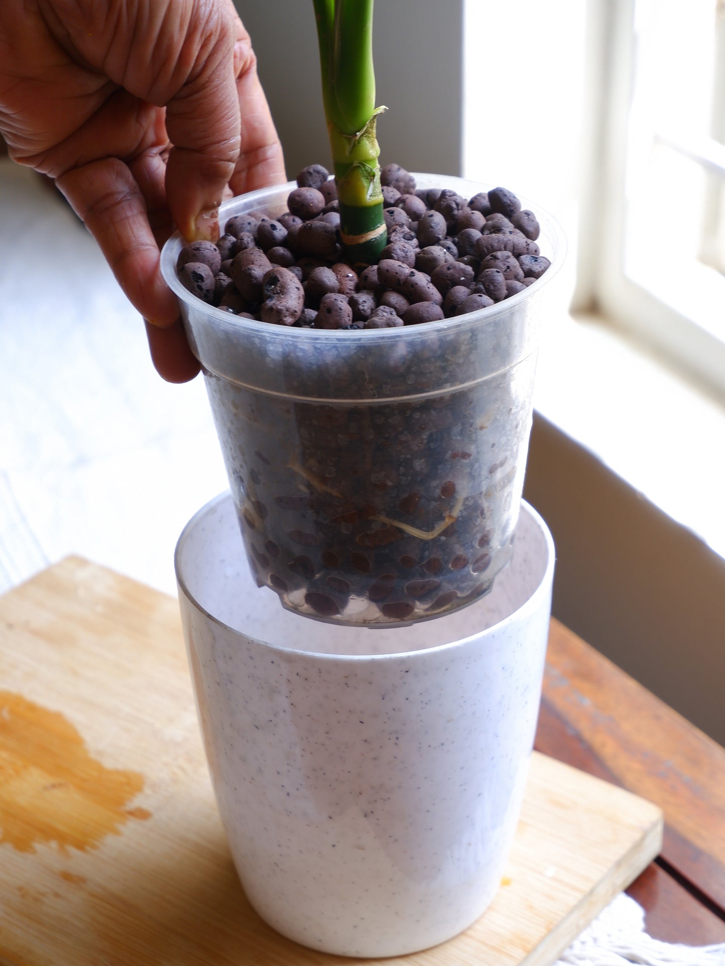 Leca Clay Balls
