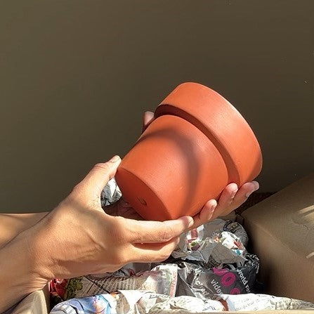 Birch Terracotta Planter 4.5"- set of 4