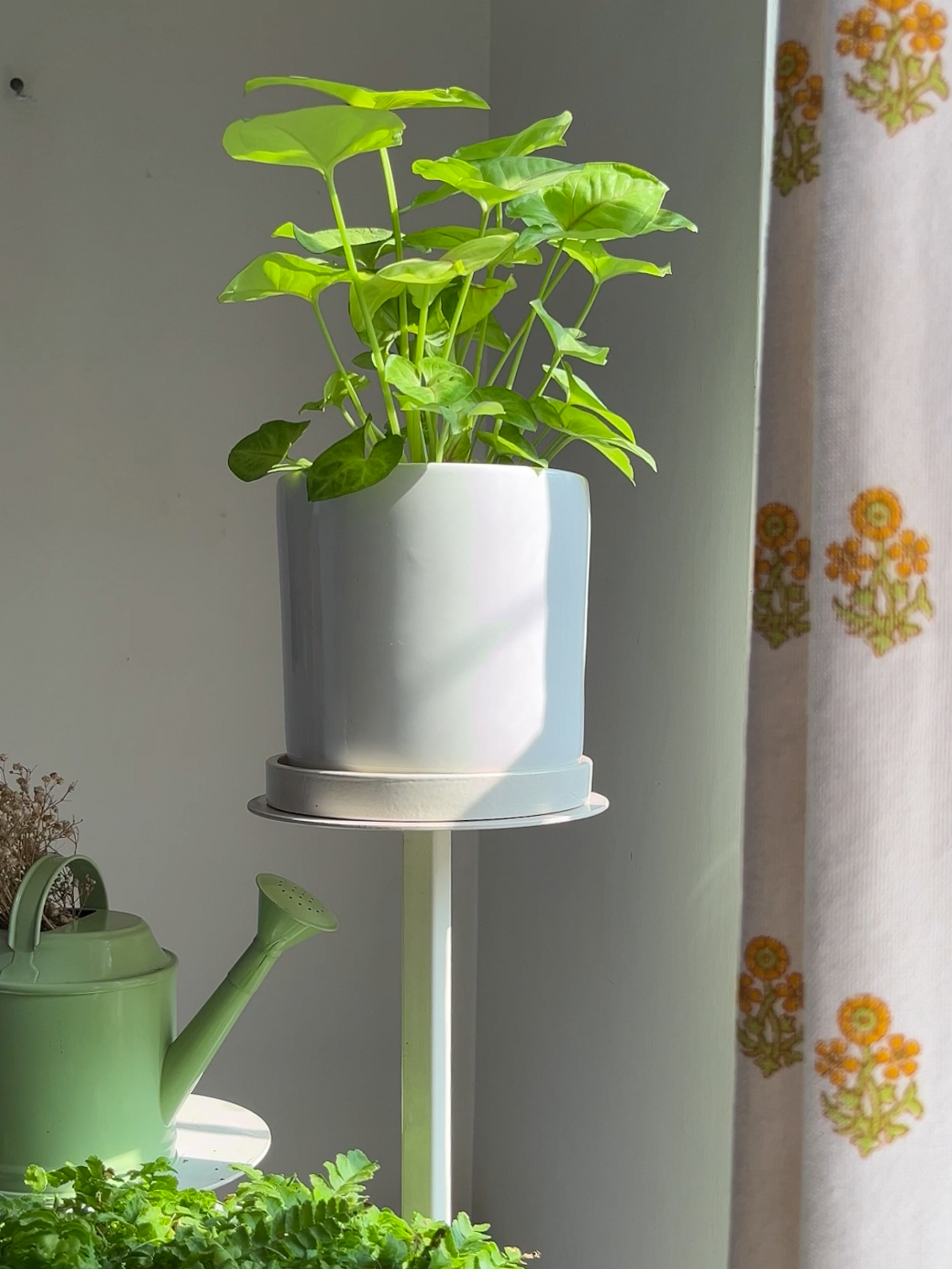 Vanilla 6" Almond Ceramic Planter