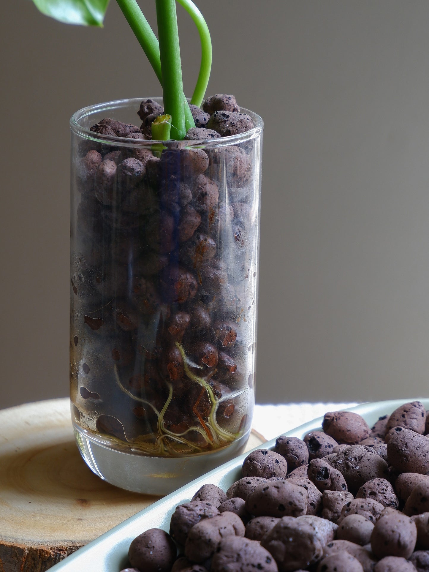 Leca Clay Balls