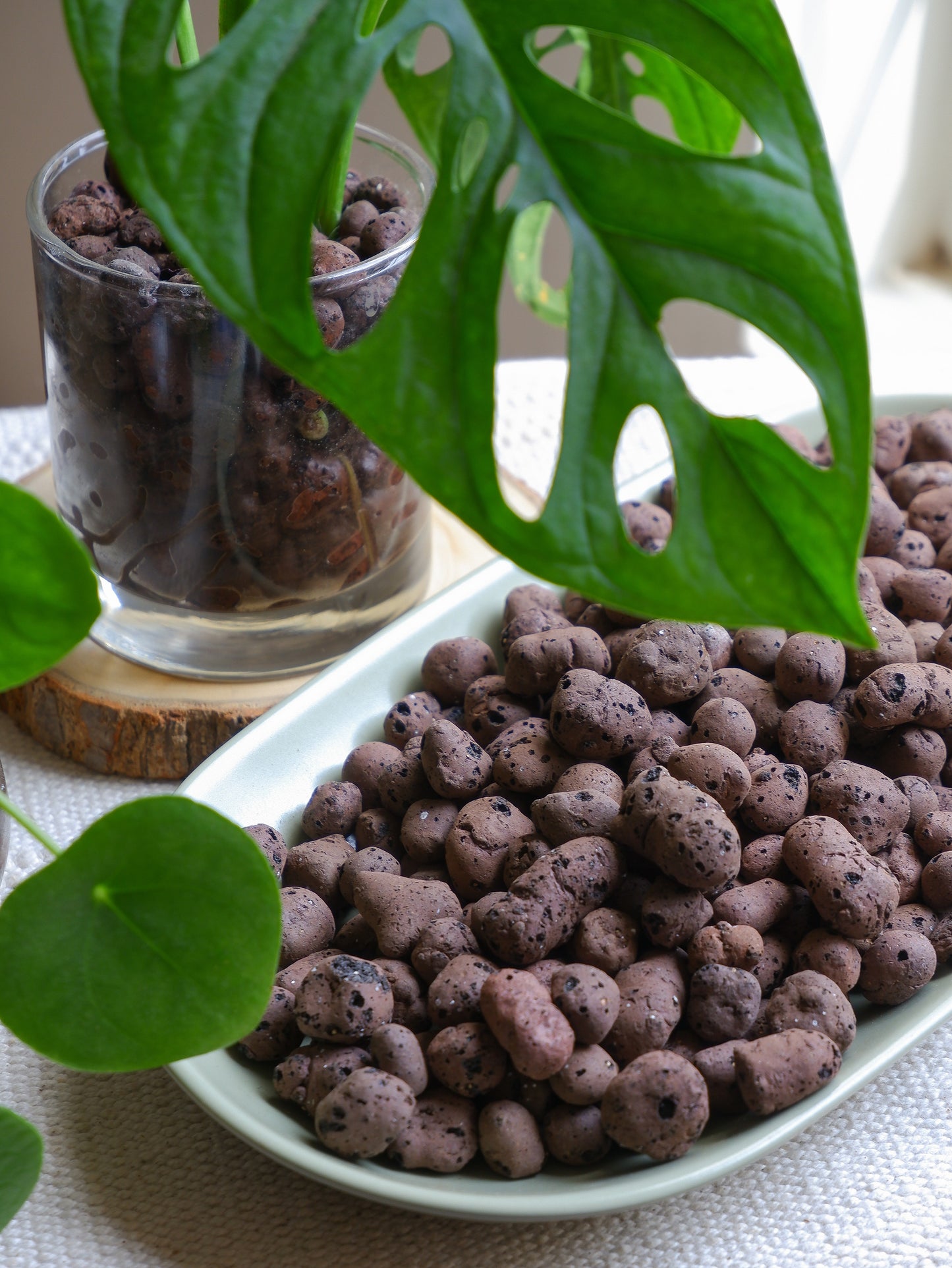 Leca Clay Balls
