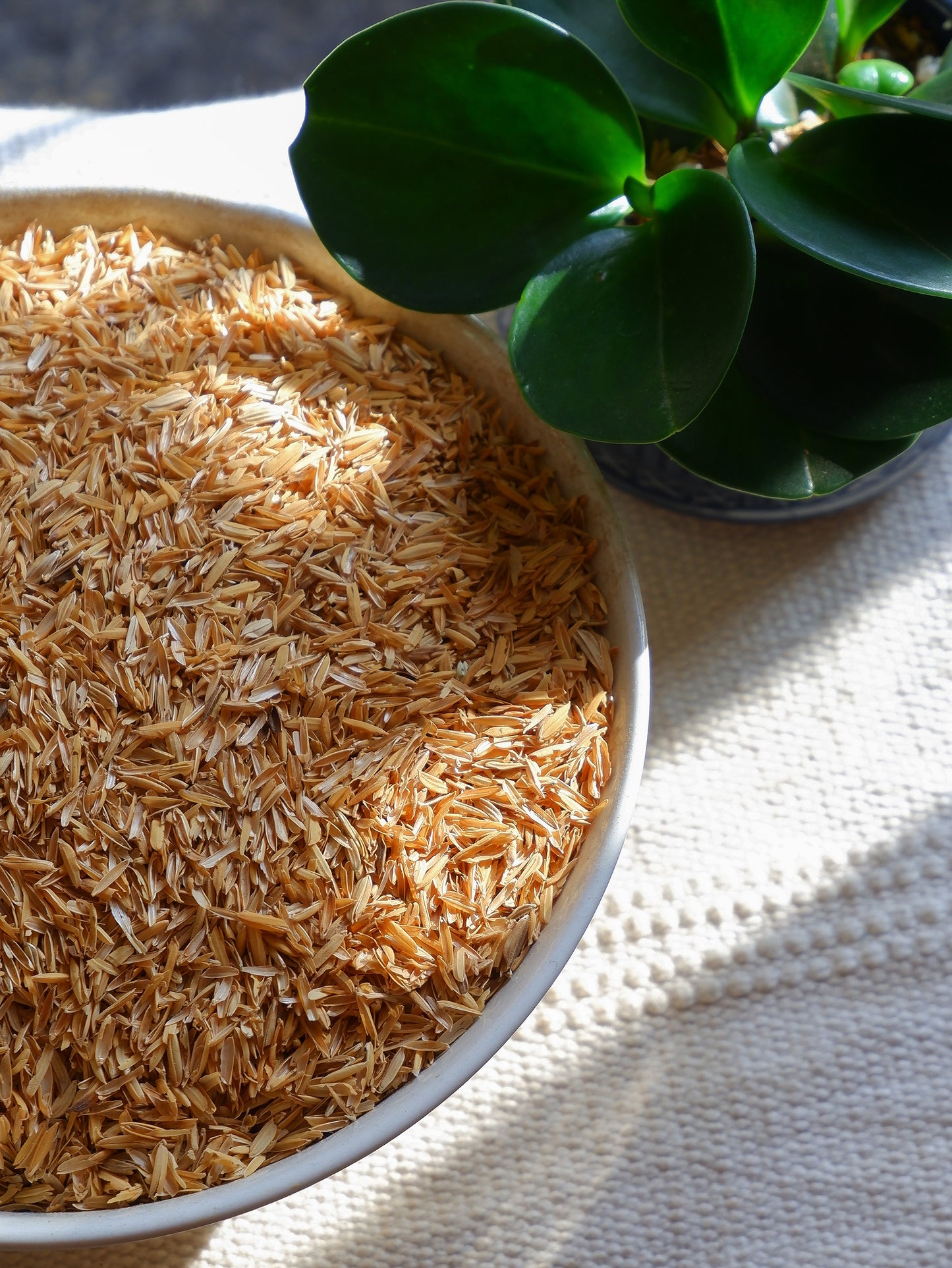 Rice Husk
