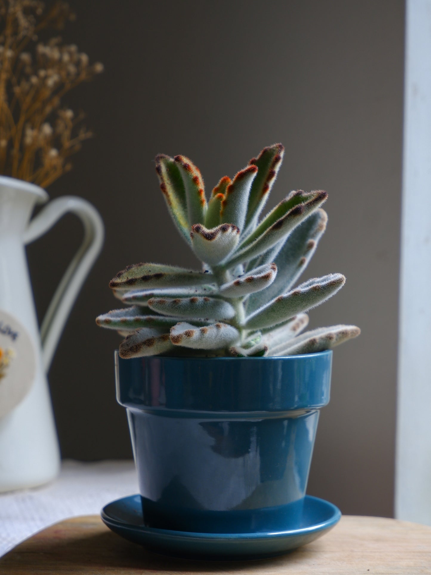 Pine 4.5" Iris Ceramic Planter