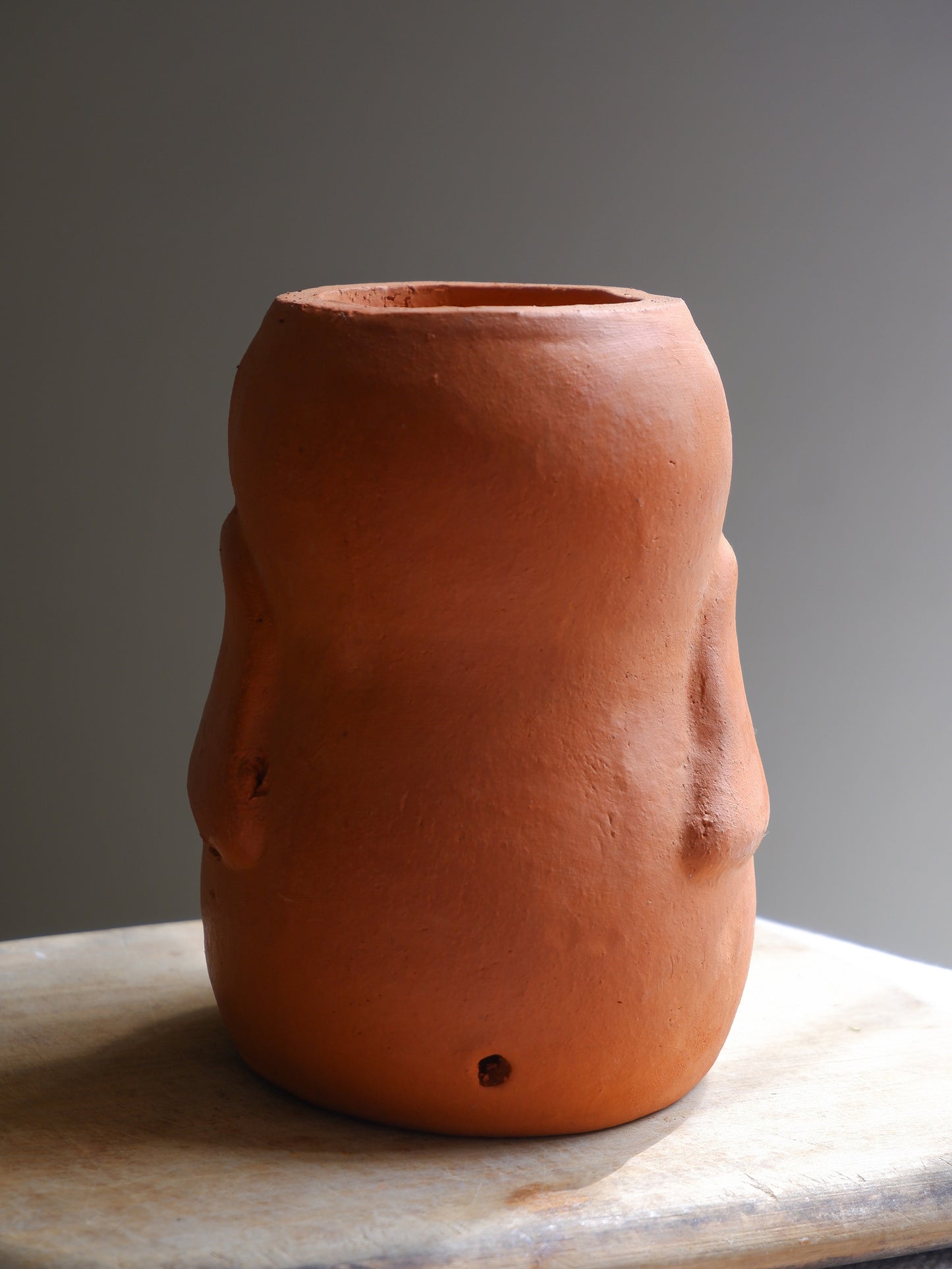Skipper Terracotta Planter- Seconds Sale