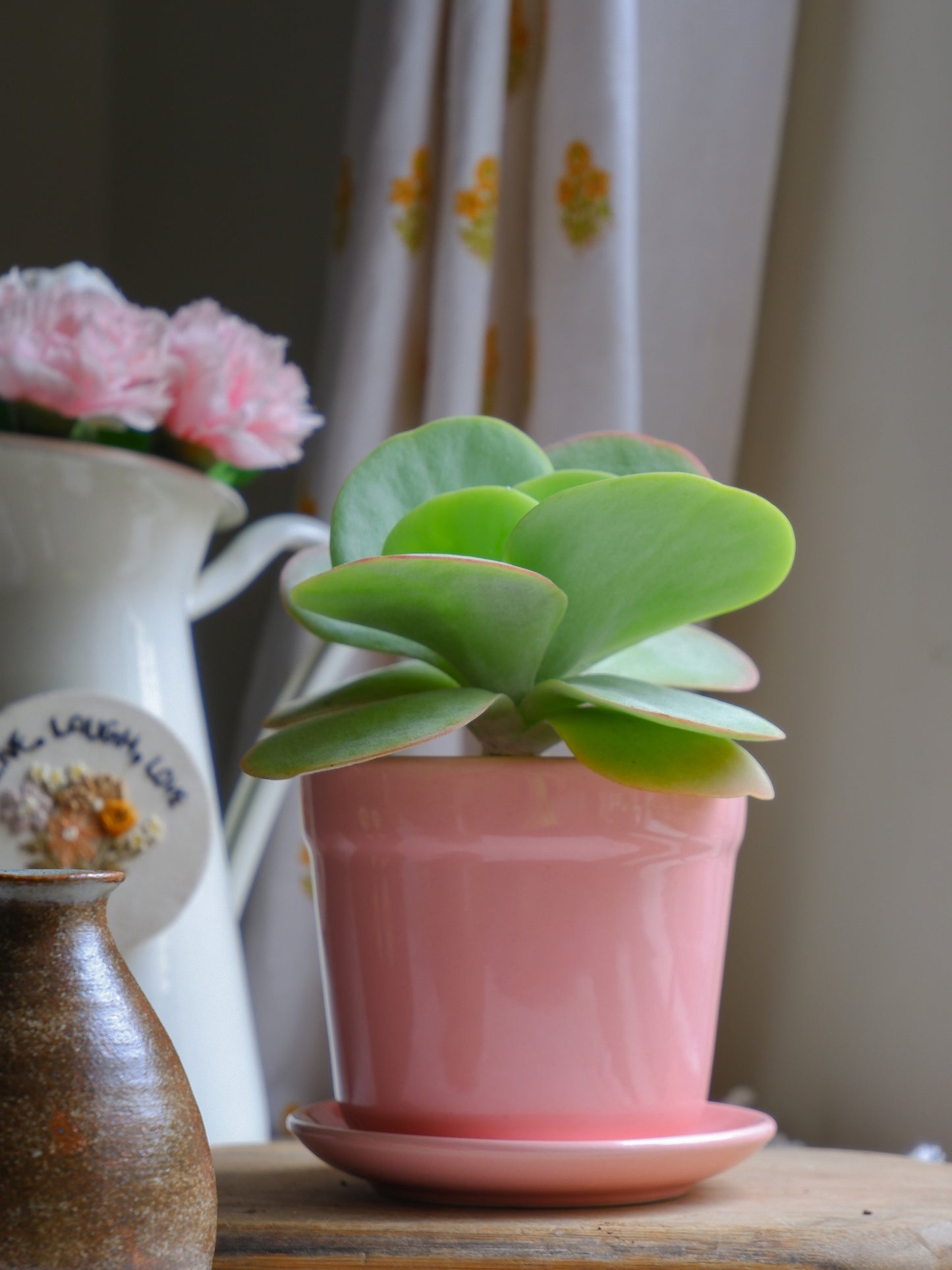 Carnation 4.5" Tulip Ceramic Planter Clearance Sale