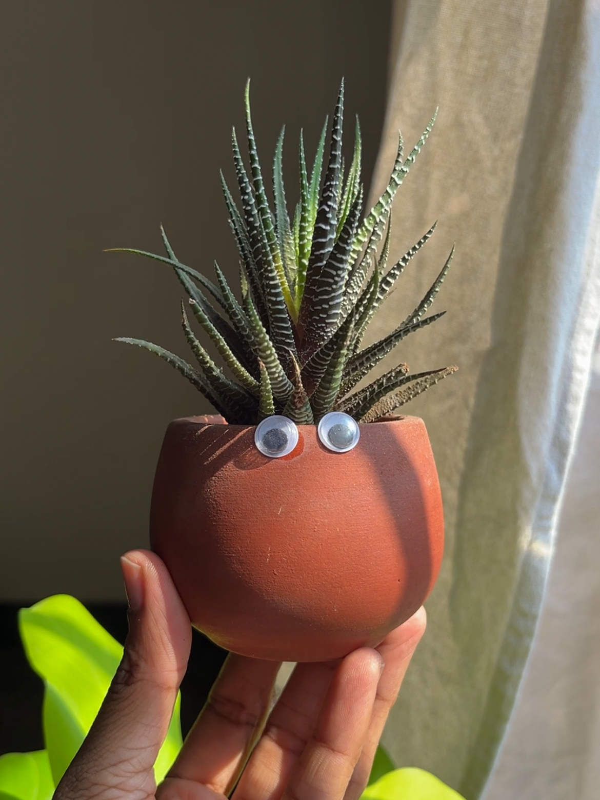 Ivy Succulent Pots 2.5"- set of 10