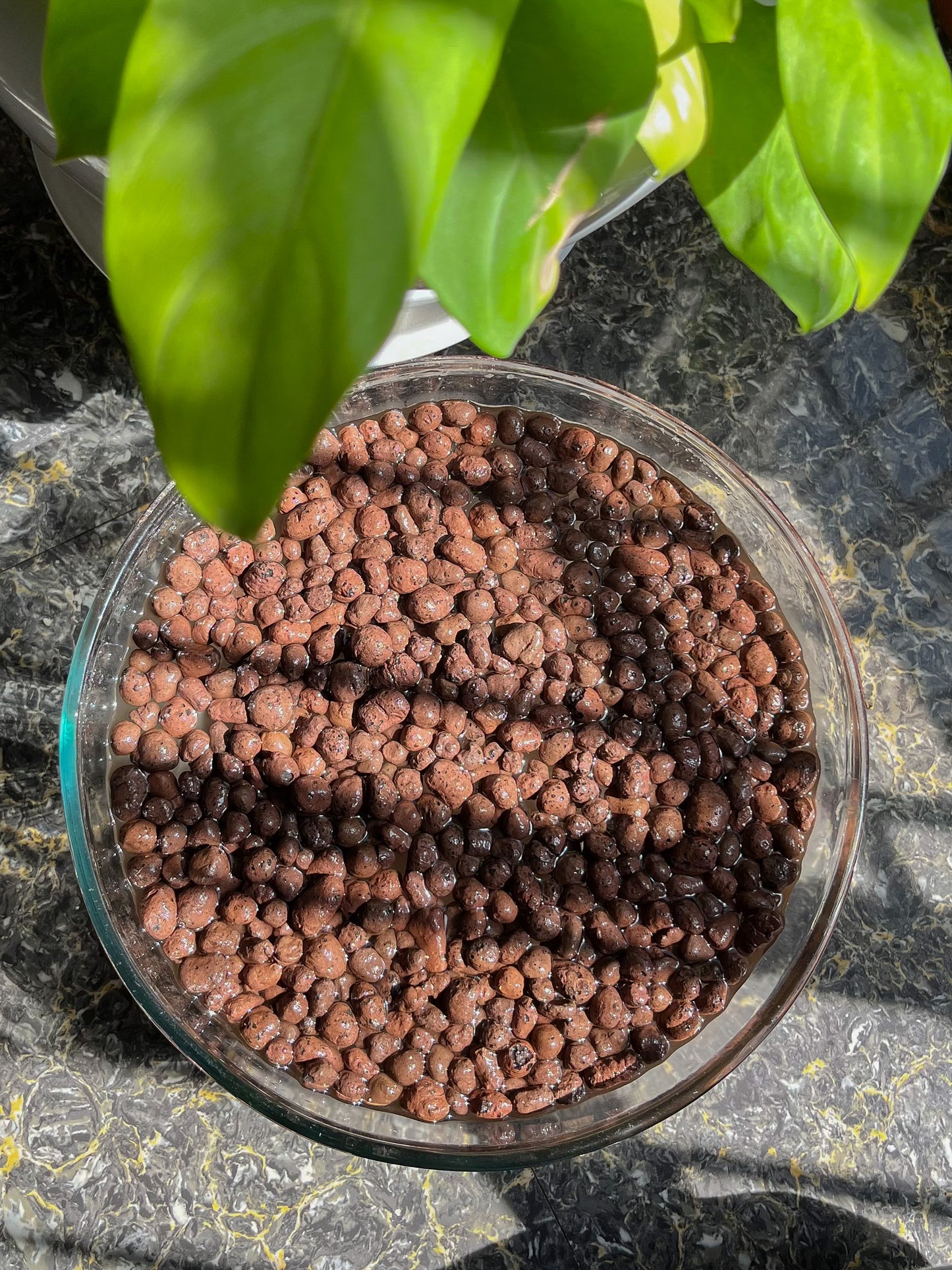 Leca Clay Balls