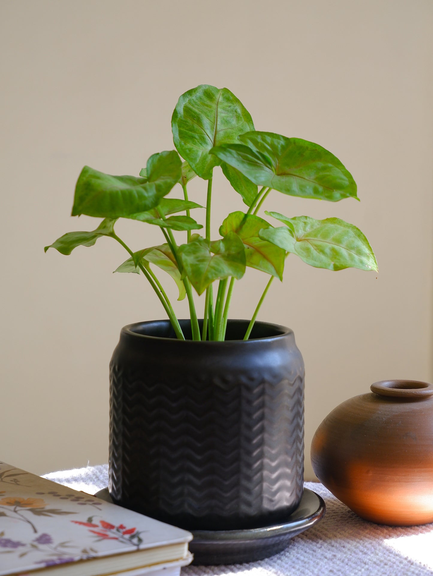 Raven 4" Ceramic Planter