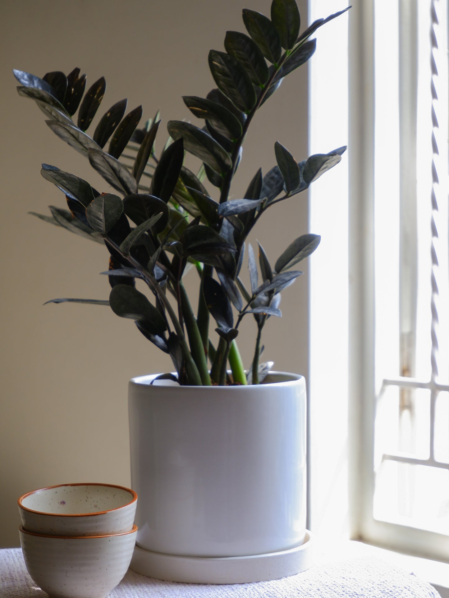 Vanilla 6" Almond Ceramic Planter