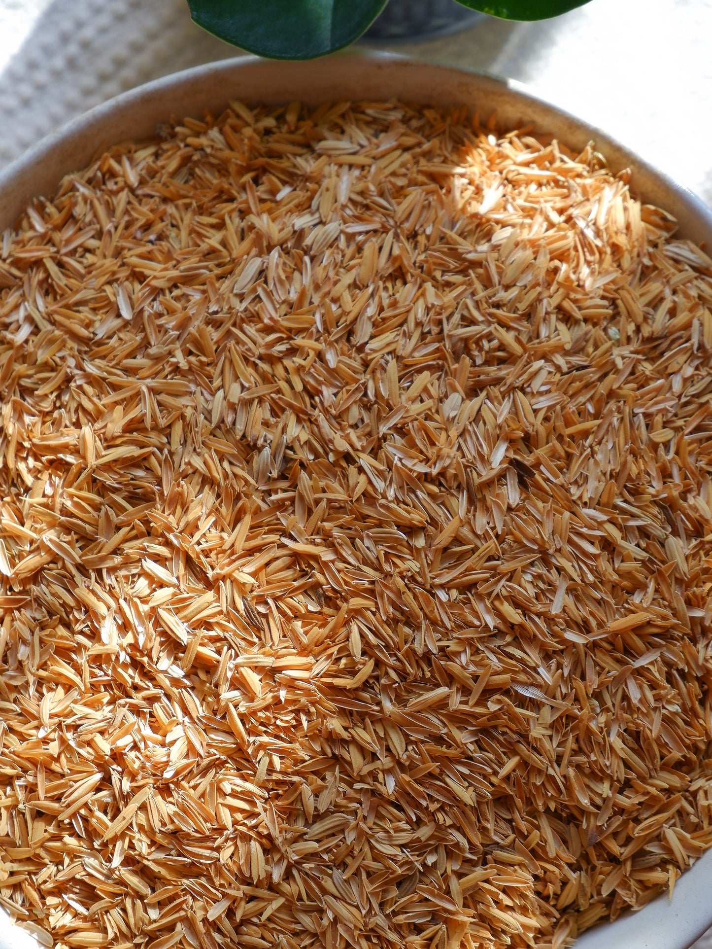 Rice Husk