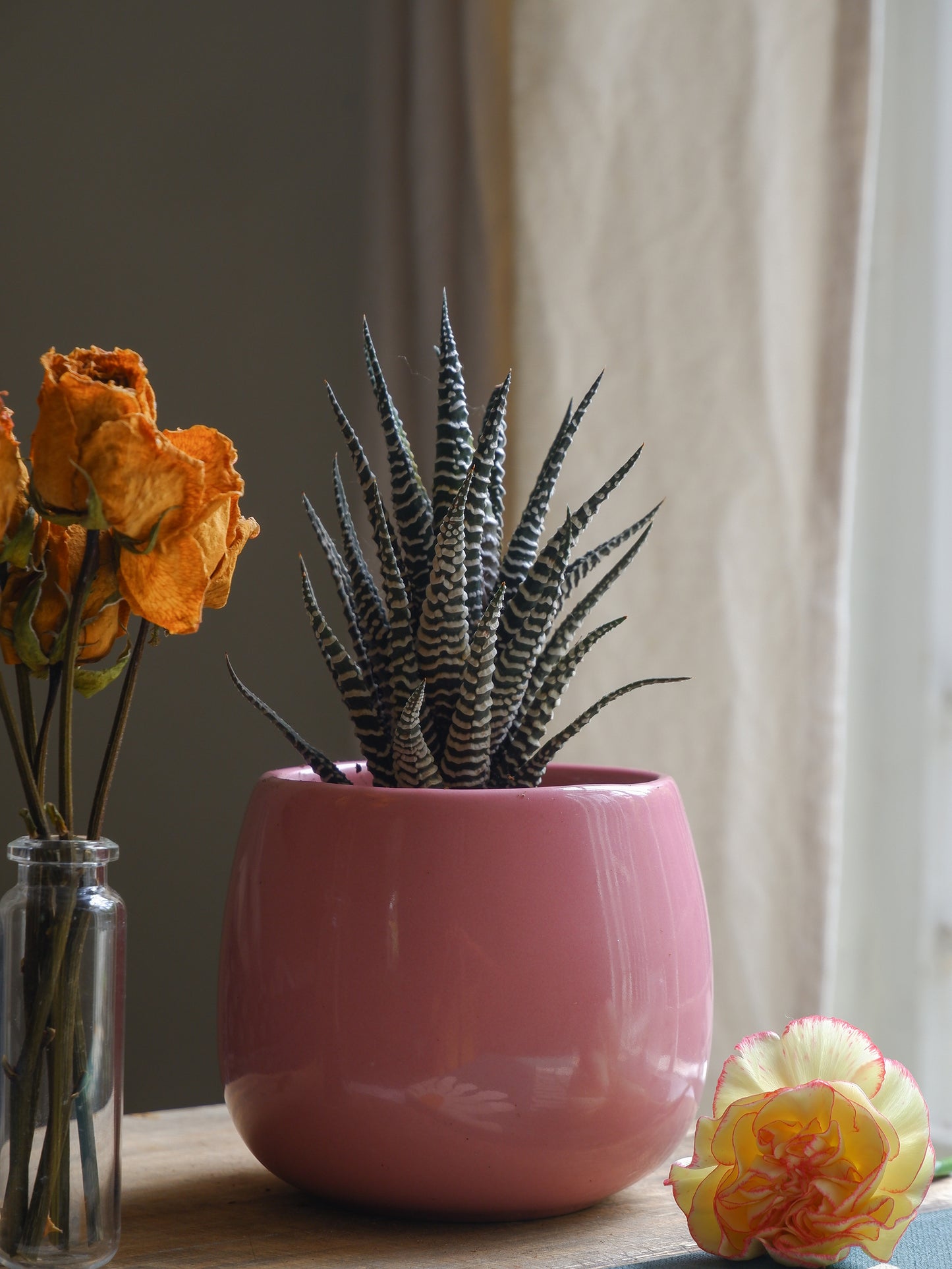 Blush 3" Ceramic Planter