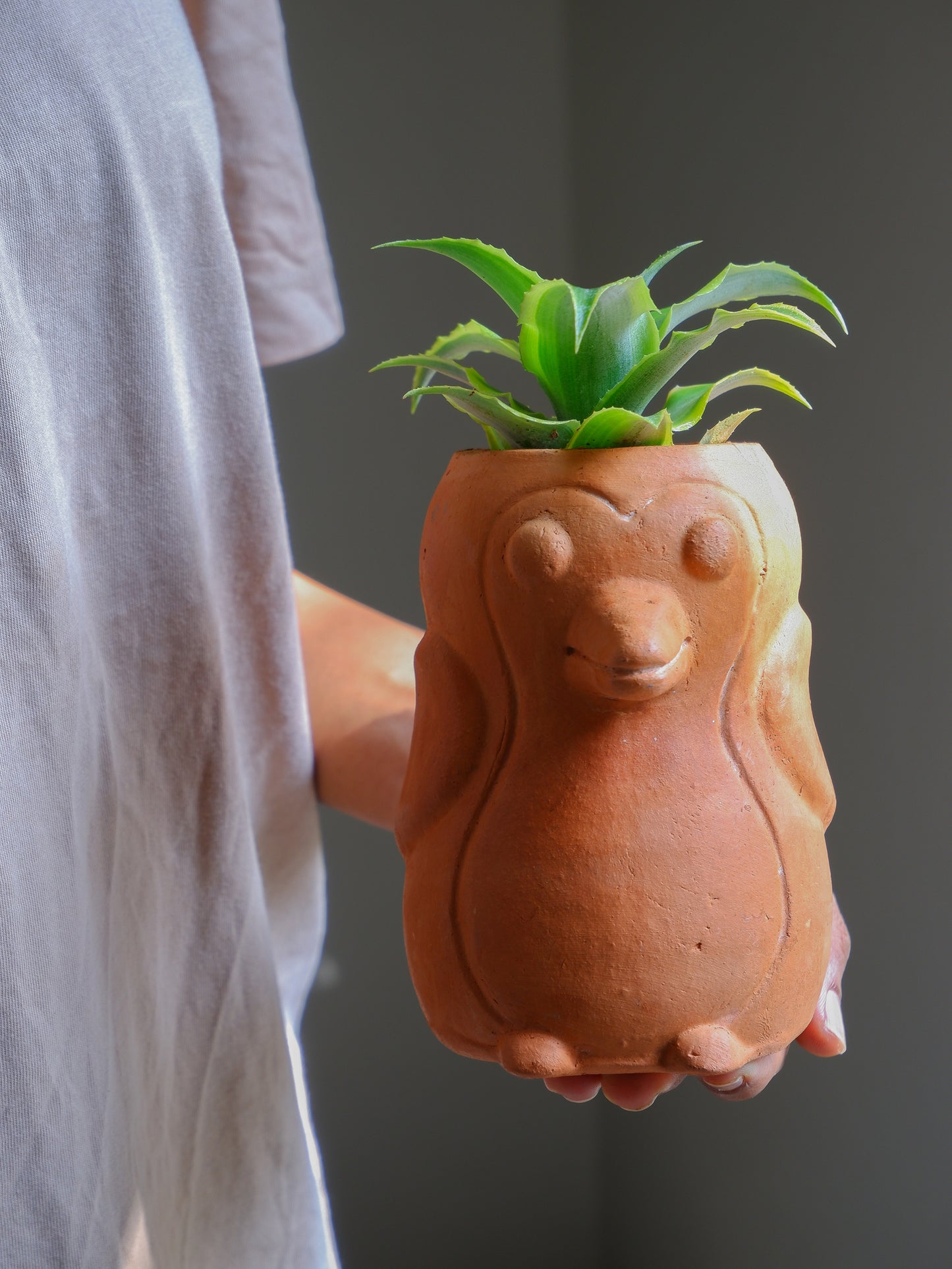 Skipper Terracotta Planter- Seconds Sale