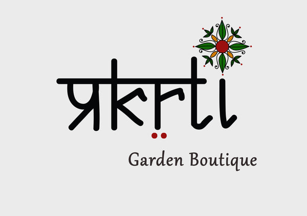 Prakrti Garden Boutique is an online plant store selling terracotta pots ceramic pots metal pots and plant décor that are shipped all India. 