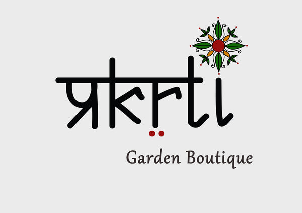 Prakrti Garden Boutique is an online plant decor store selling terracotta pots ceramic pots metal pots and plant décor that are shipped all India.