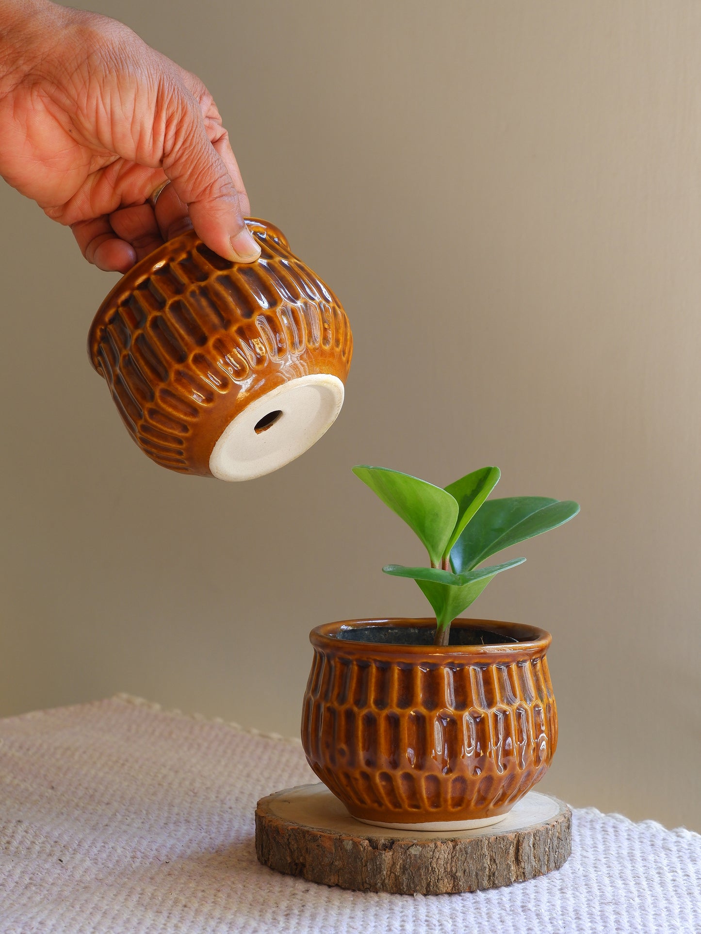 small ceramic succulent planters with brown glaze for succulents. delivered all India