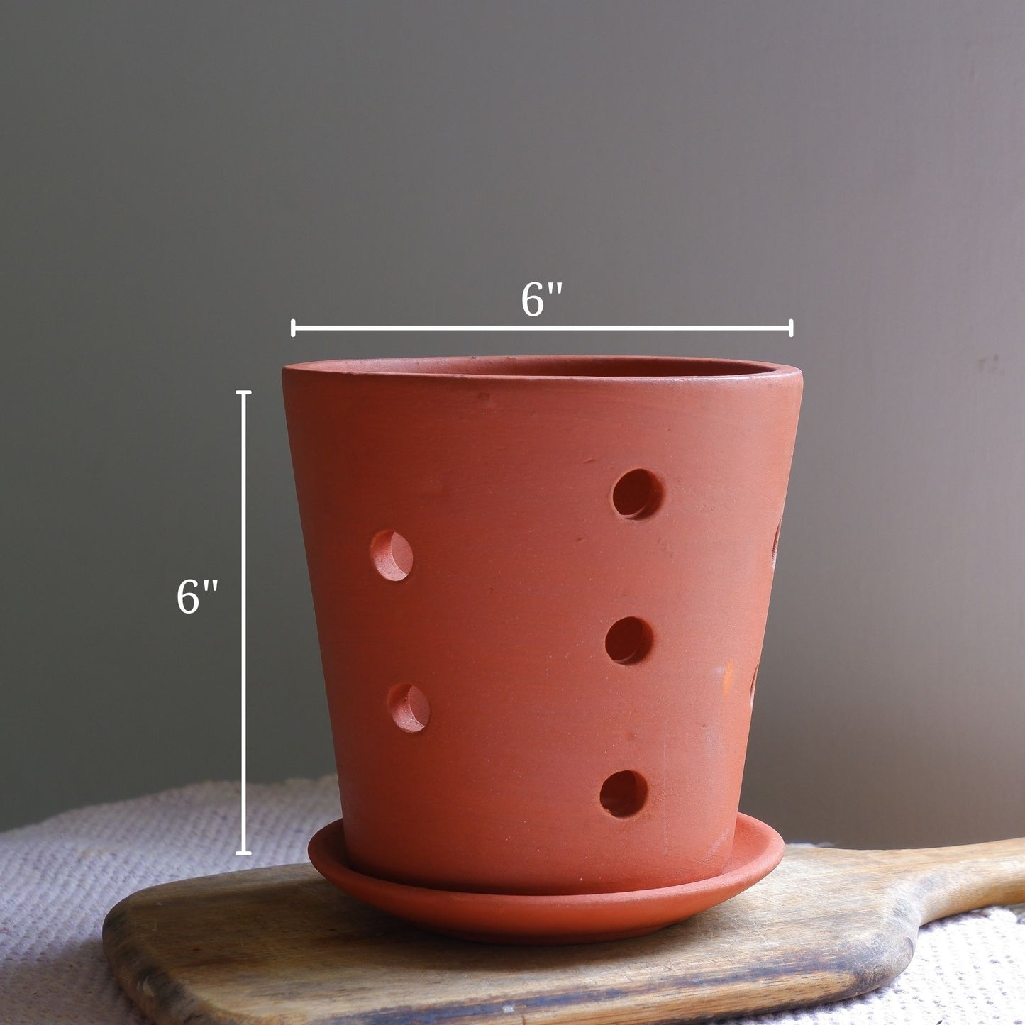 Truffle Orchid Planter- set of 3
