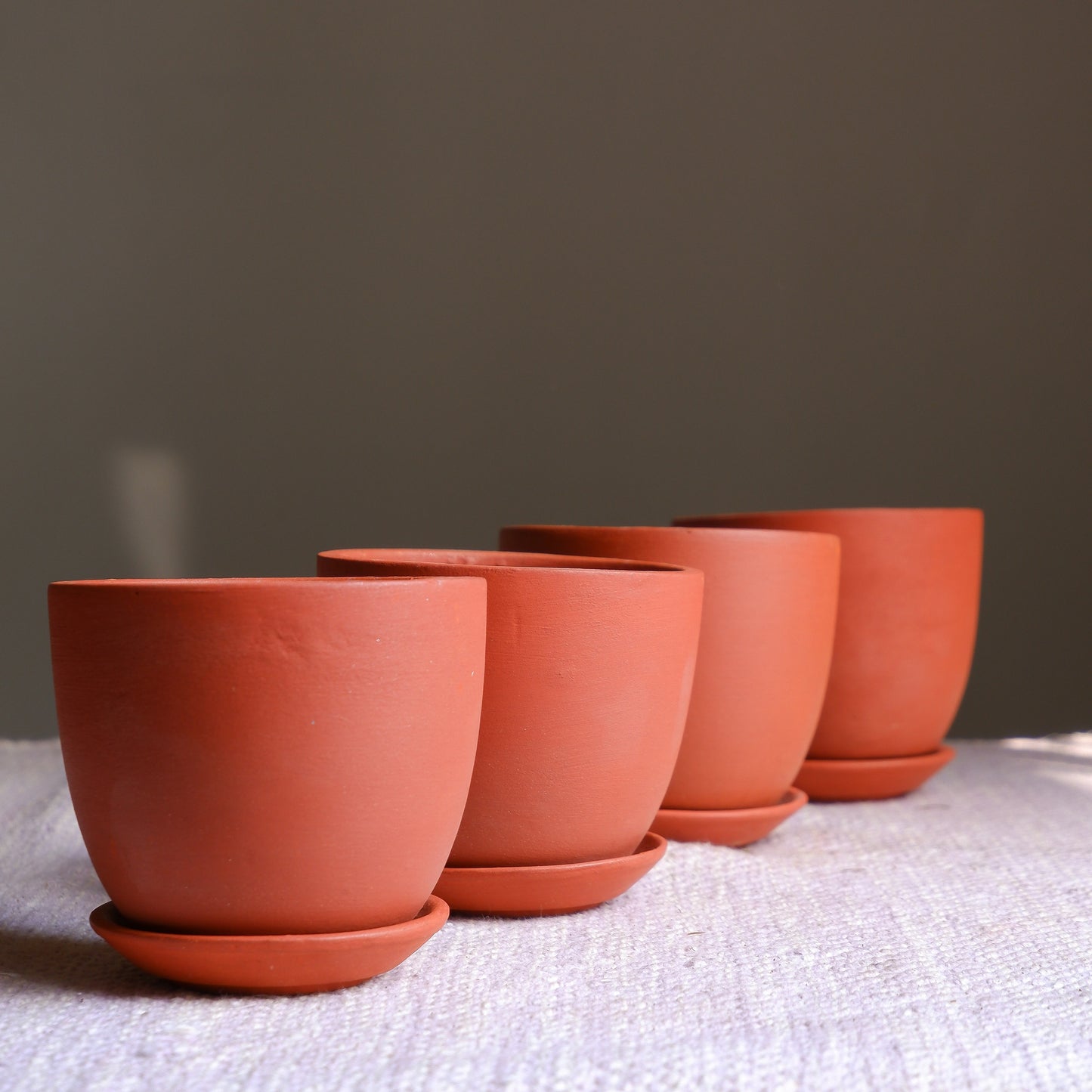 Small succulent terracotta pots delivered all India