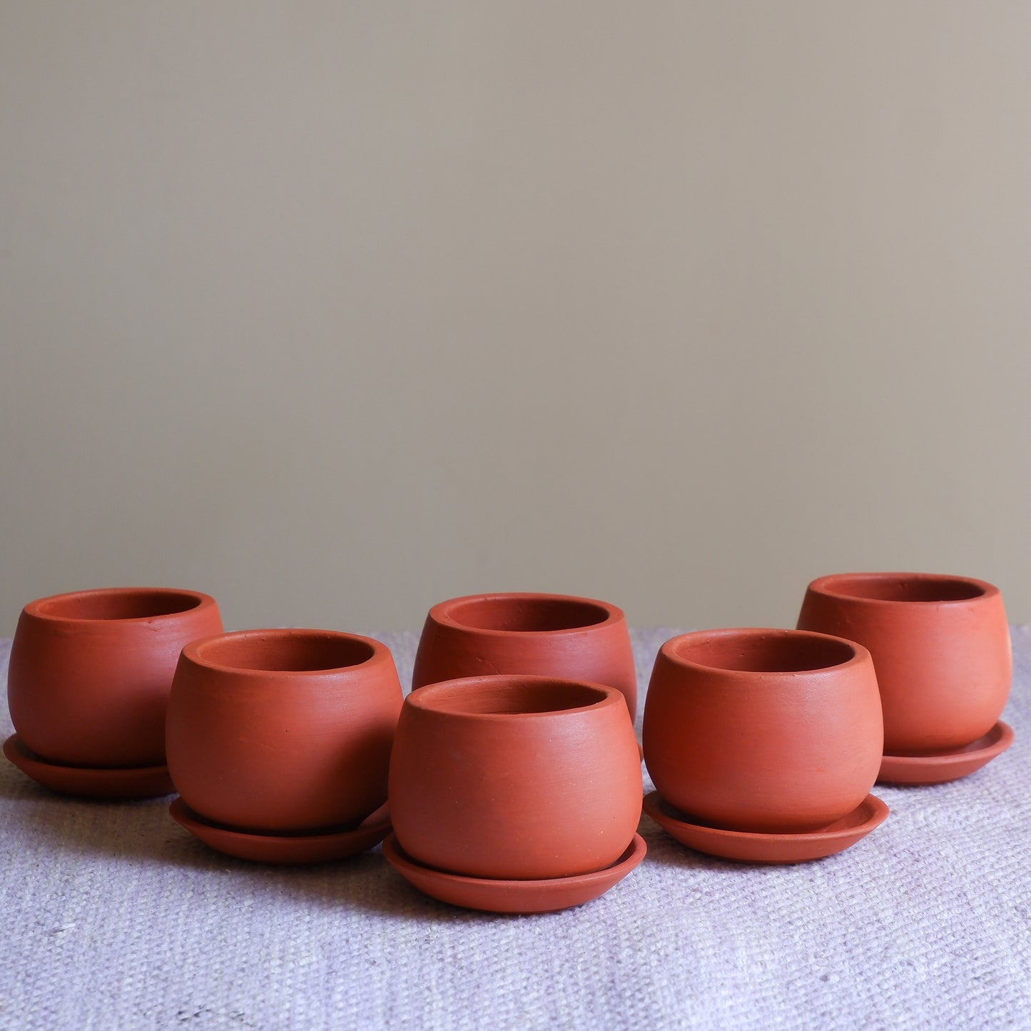 Shop our best selling tiny succulent terracotta pots delivered all India