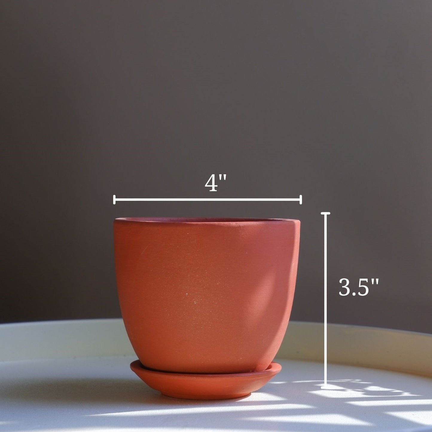 Small succulent terracotta pots delivered all India