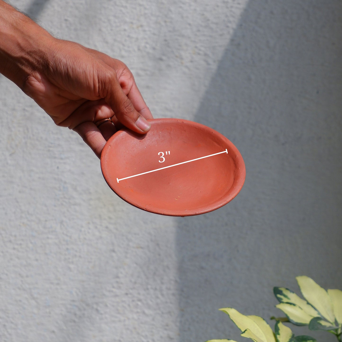 Small succulent terracotta pots delivered all India