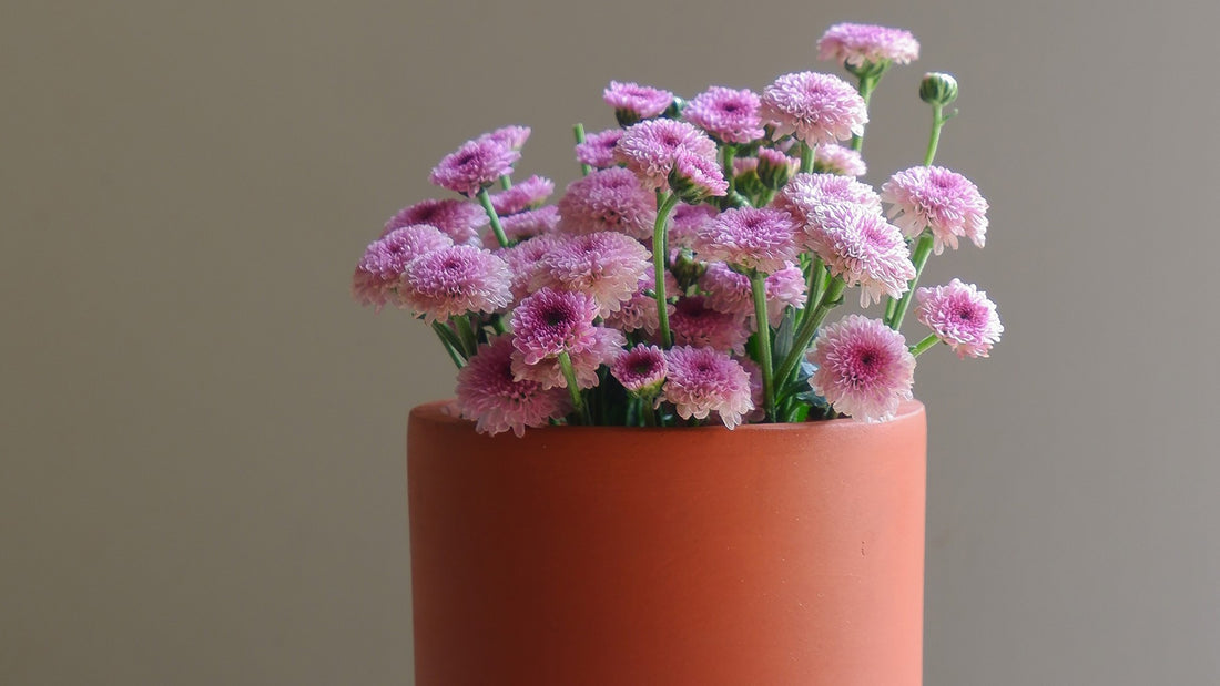 blog on how to use Terracotta Pots As Flower Vases