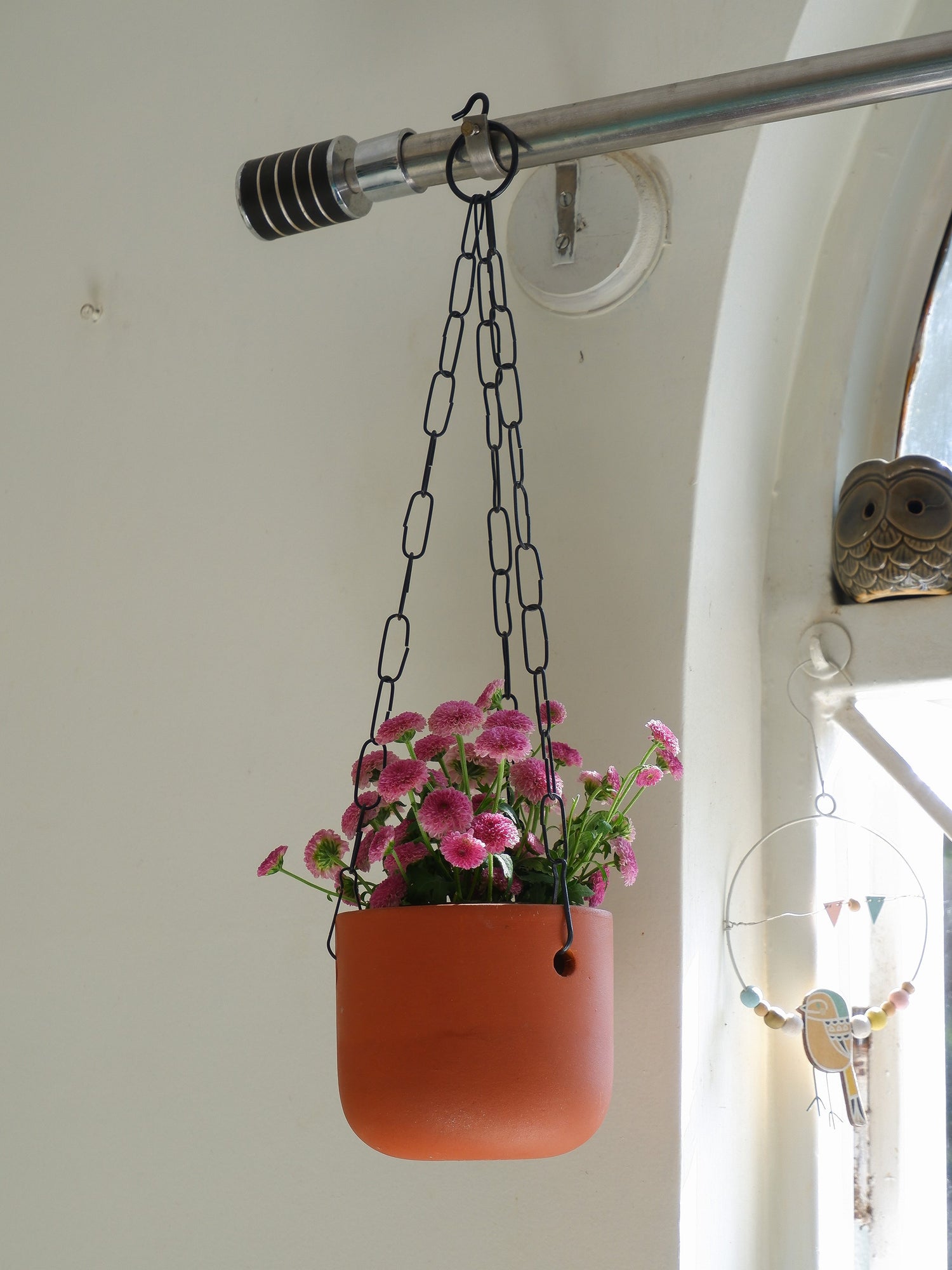 Prakrti garden boutique sells online hanging pots for indoor plants delivered all India