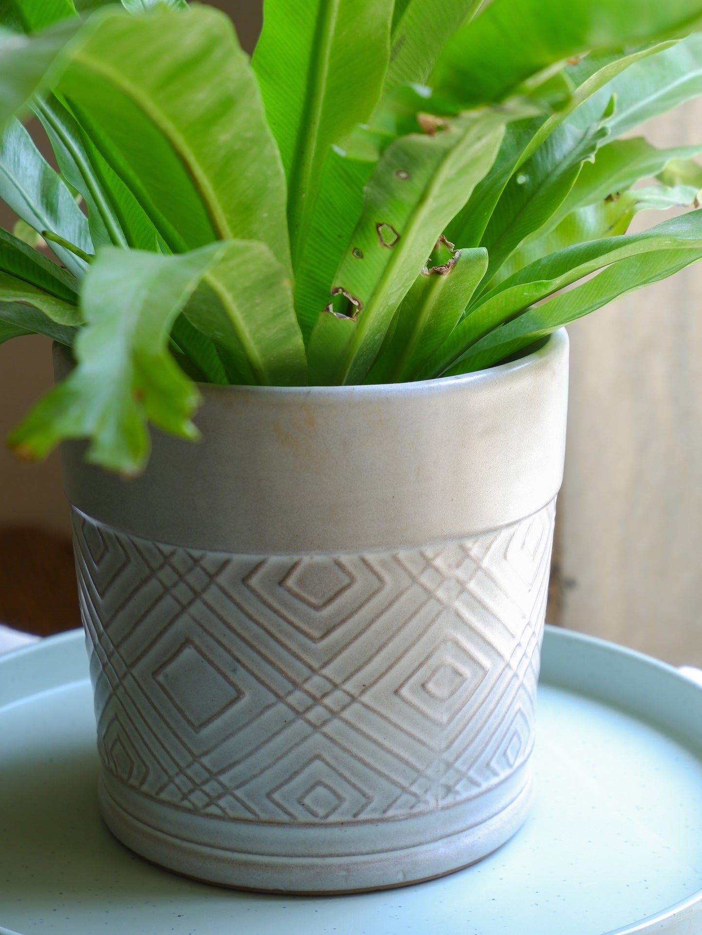 Pattern Ceramic Pot- Sale