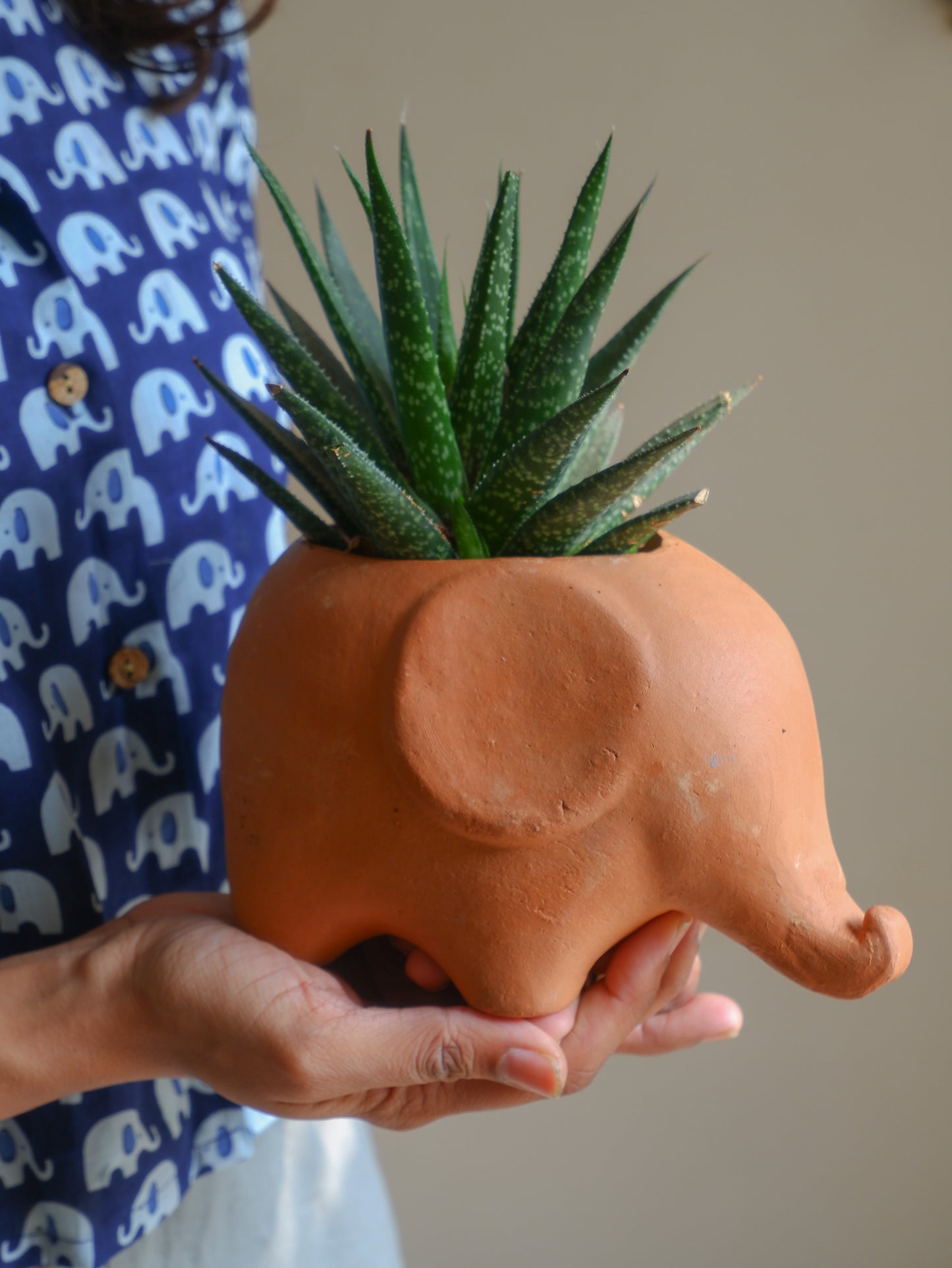 Manny Terracotta Planter