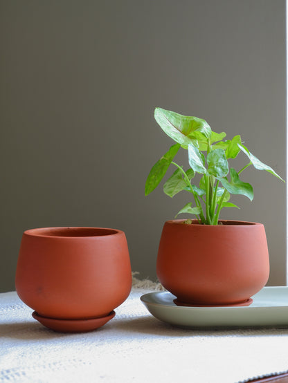 Ivy Terracotta Pots 4"- set of 2