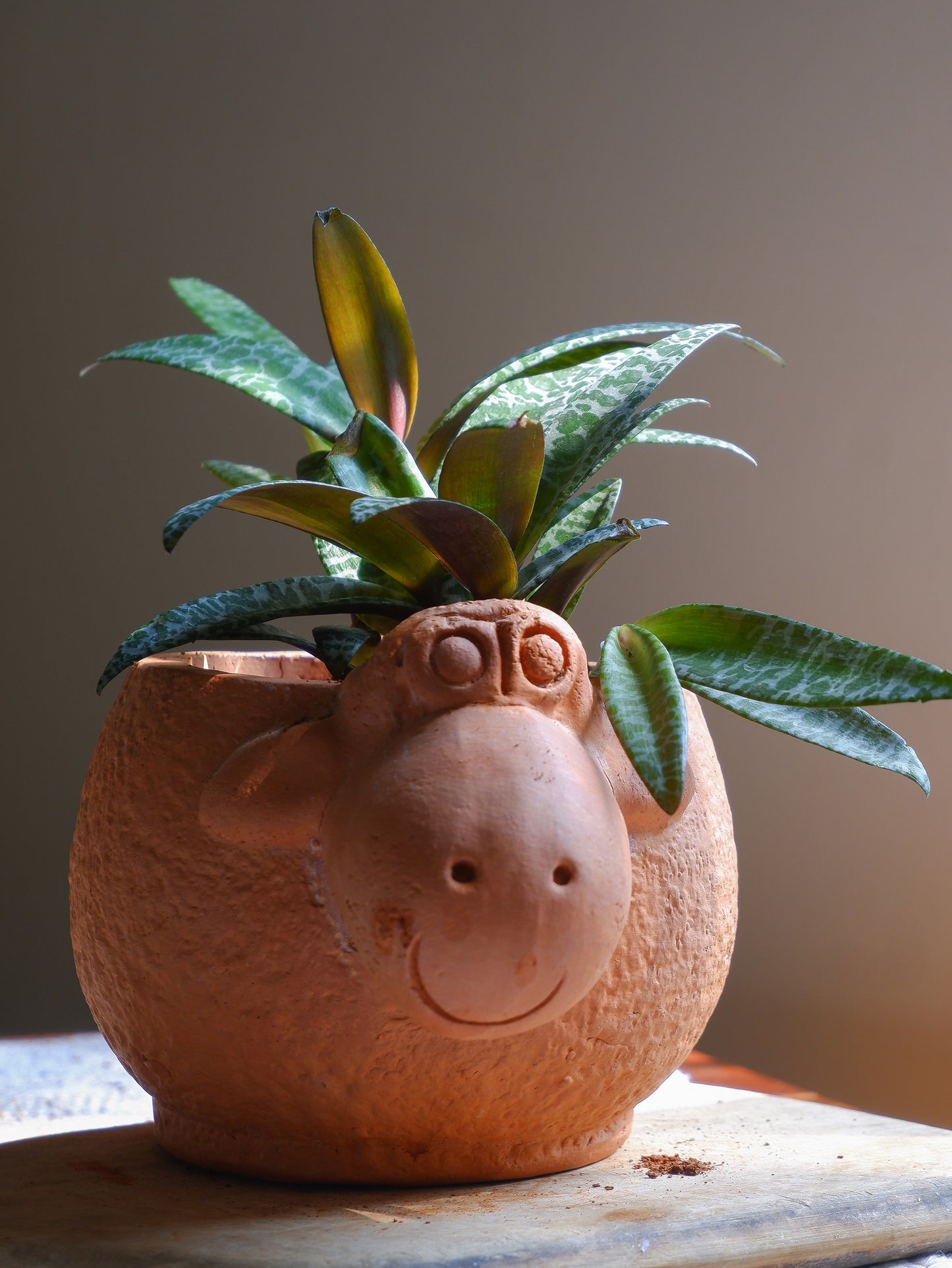 Shaun The Sheep Terracotta Planter