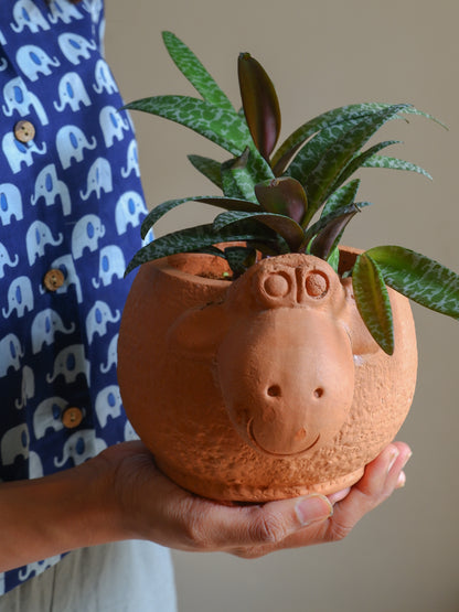 Shaun The Sheep Terracotta Planter