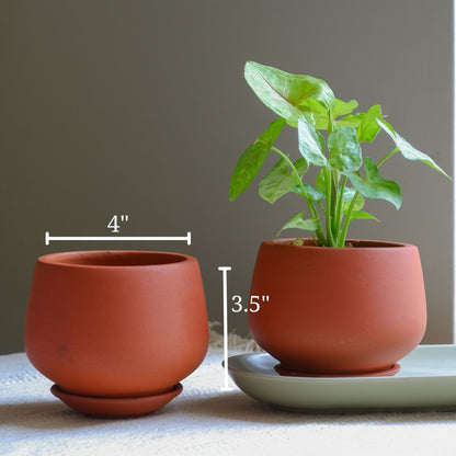 Ivy Terracotta Pots 4"- set of 2