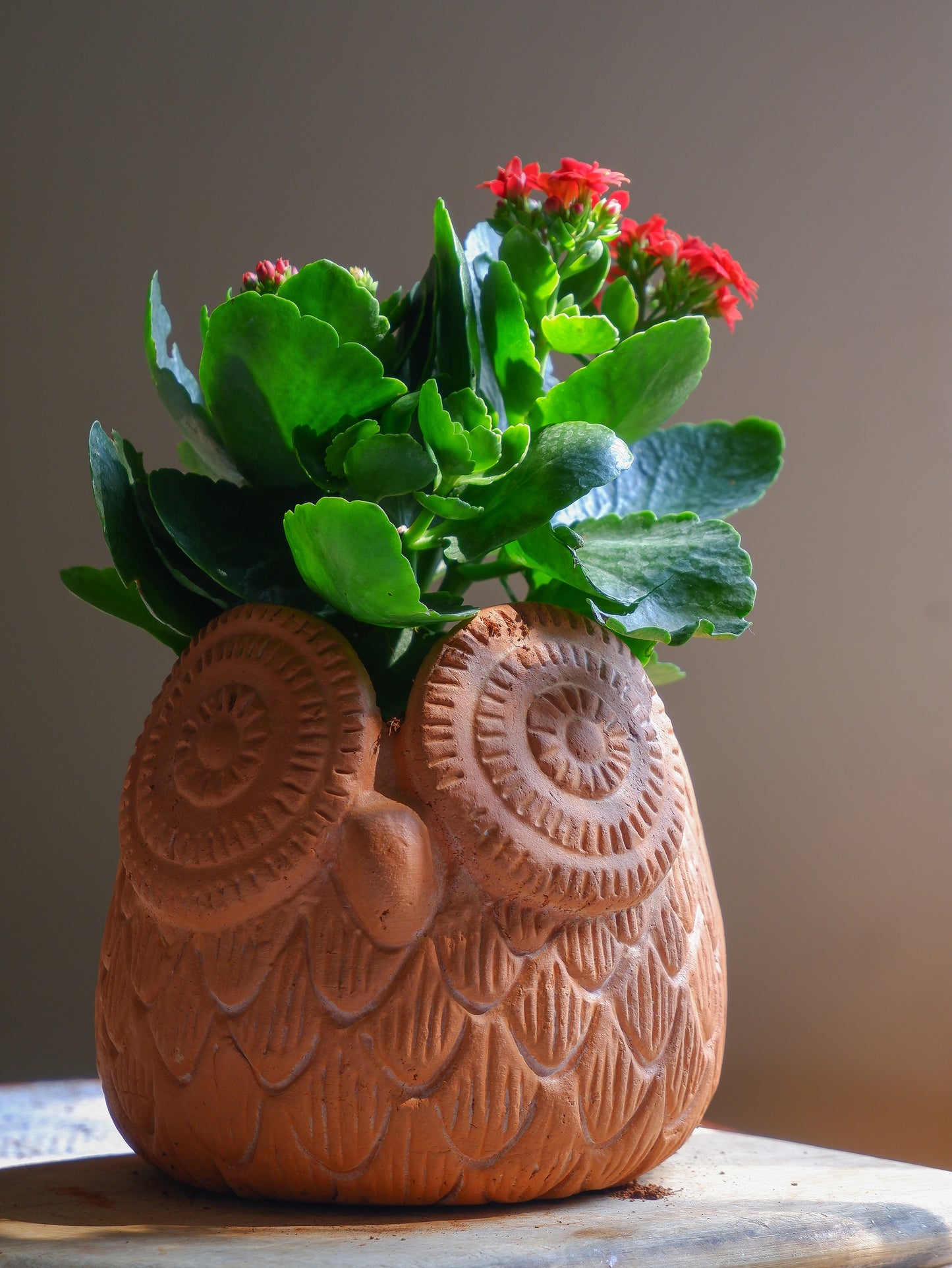 Errol Terracotta Planter