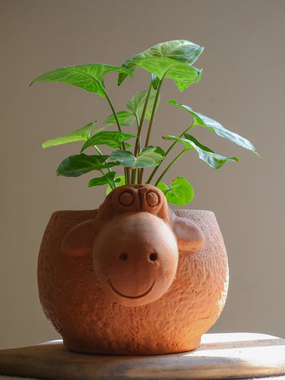 Shaun The Sheep Terracotta Planter