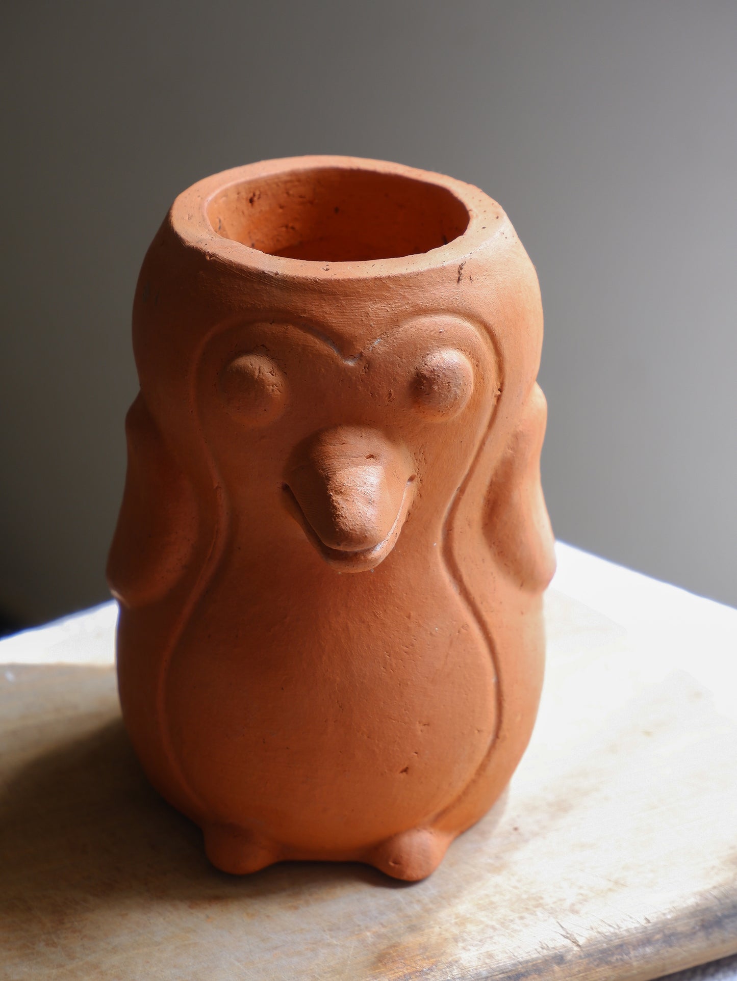 Skipper Terracotta Planter