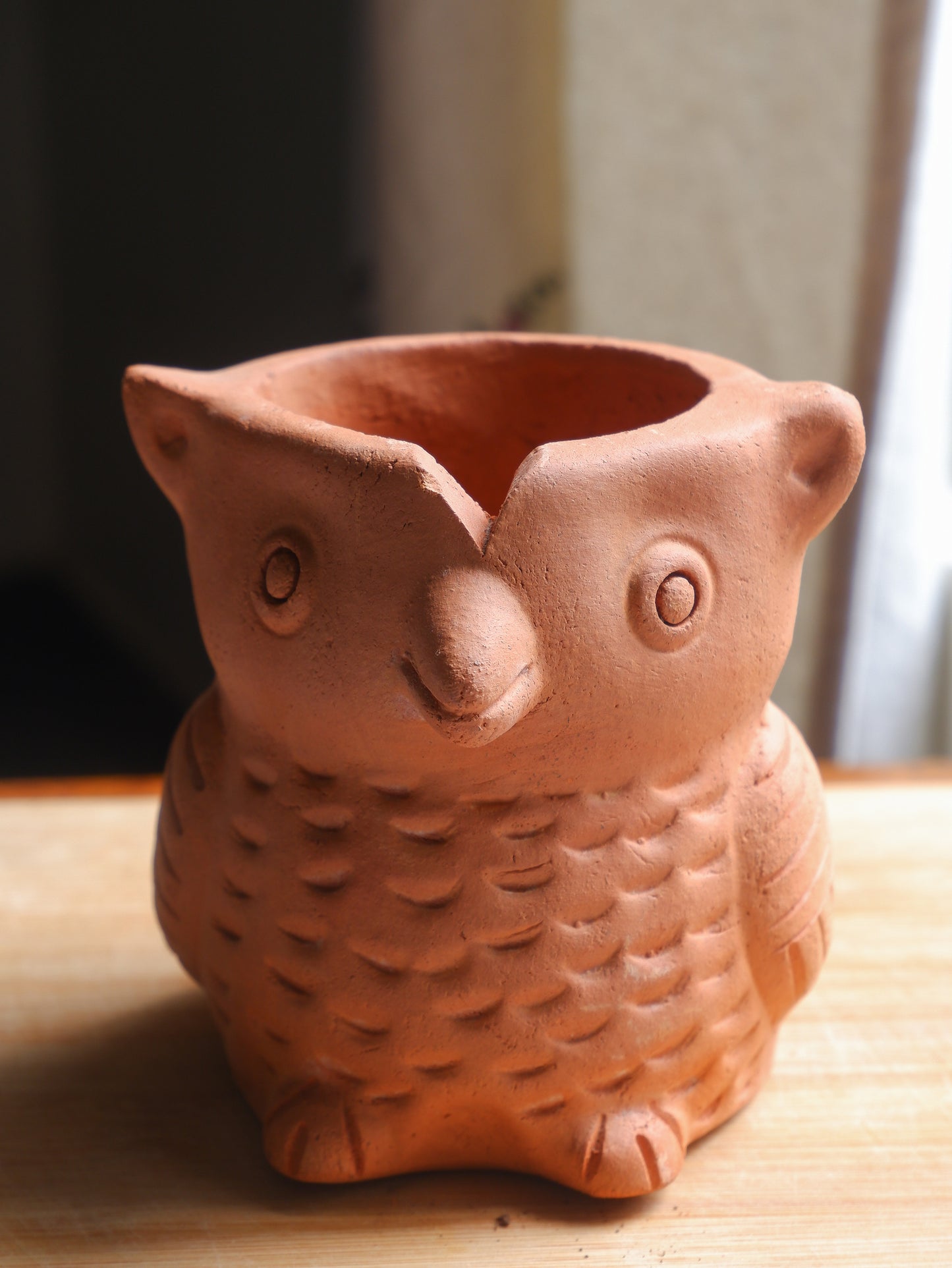 Hedwig Terracotta Planter