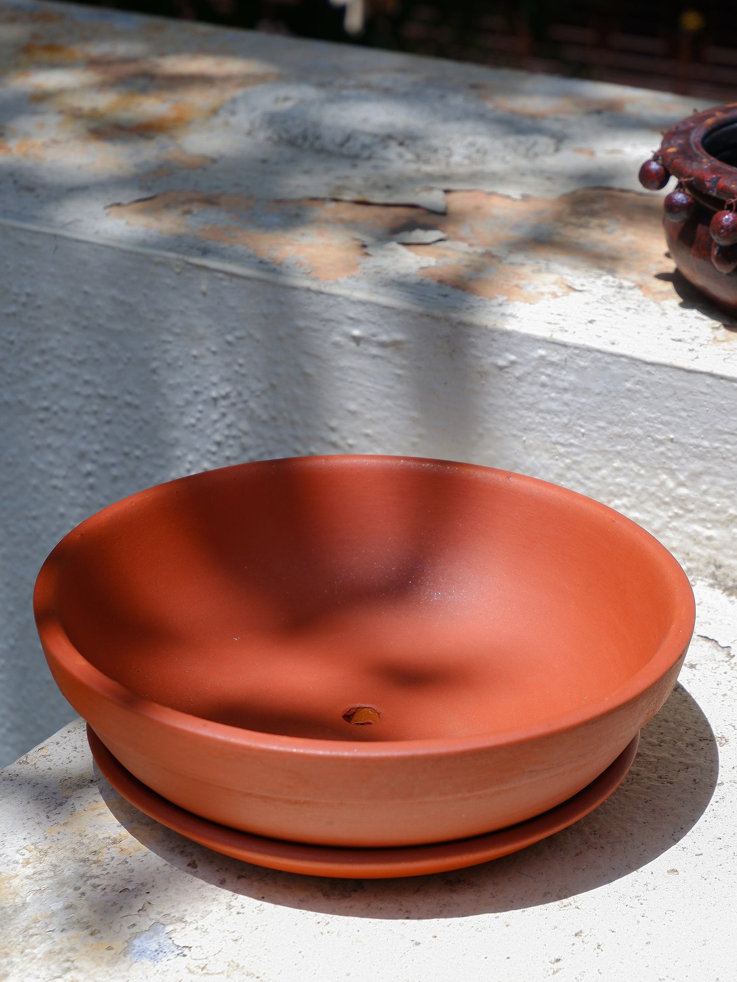 Bowl Terracotta Planter for Microgreens/Succulent Arrangements