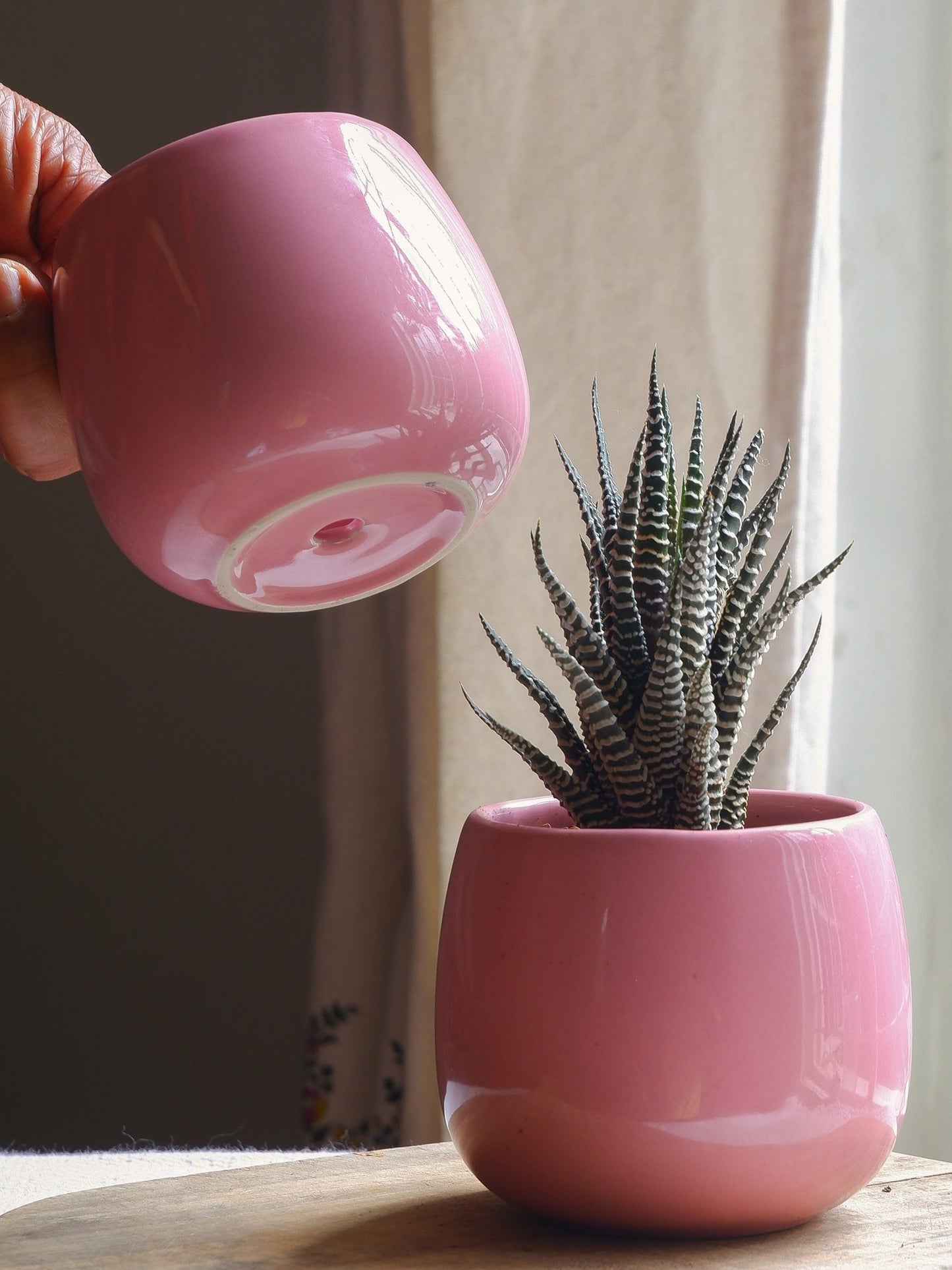 Blush 3" Ceramic Planter Set of 2