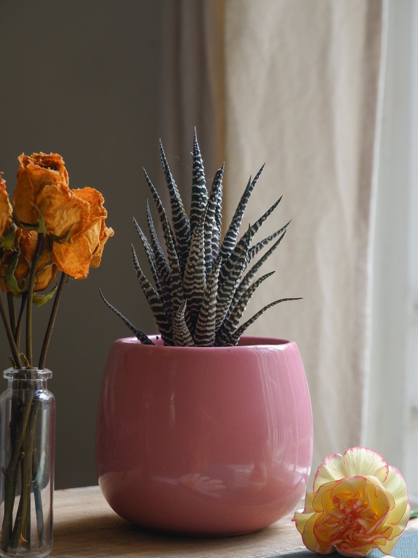 Blush 3" Ceramic Planter Set of 2