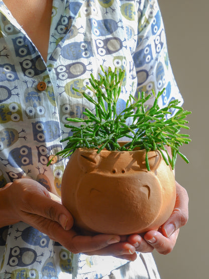 Gloria Terracotta Planter