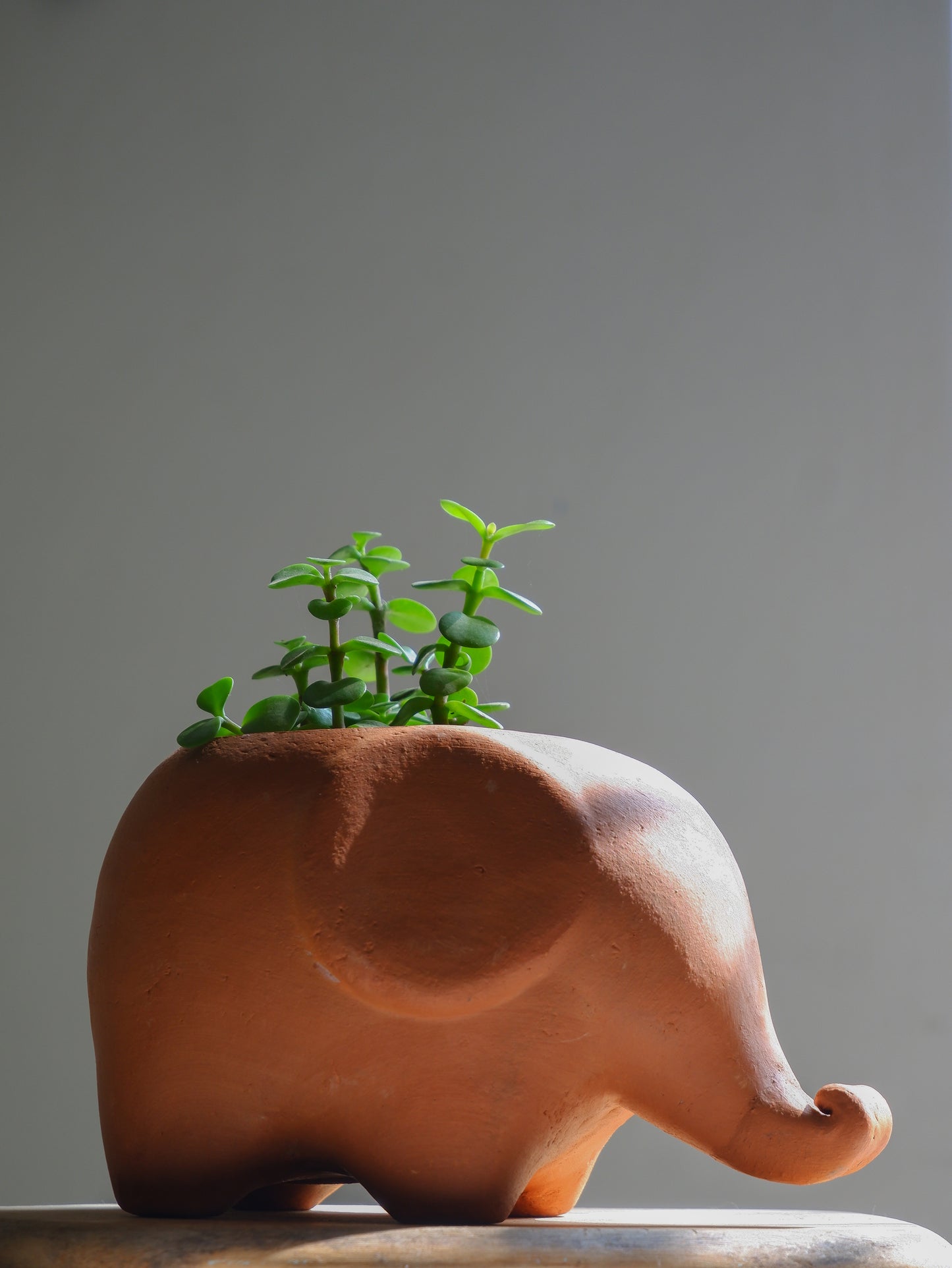 Manny Terracotta Planter