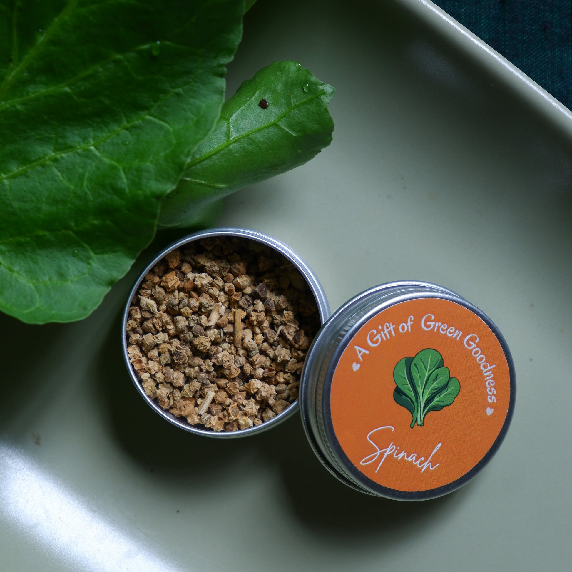 Spinach Seeds in tins for eco friendly return gifts