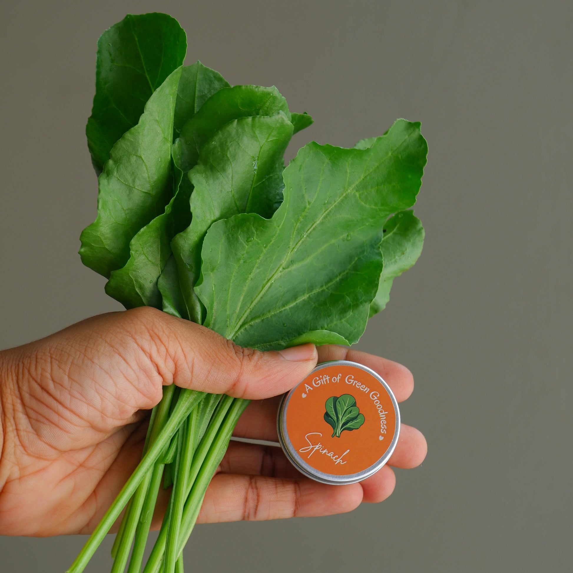 return gifts spinach seeds