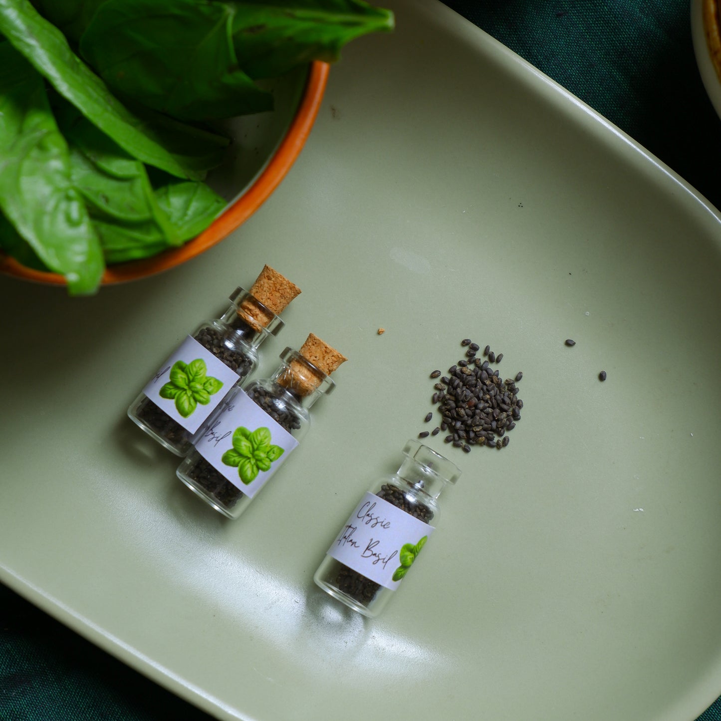 Eco-Friendly return gifts Italian Basil Seeds