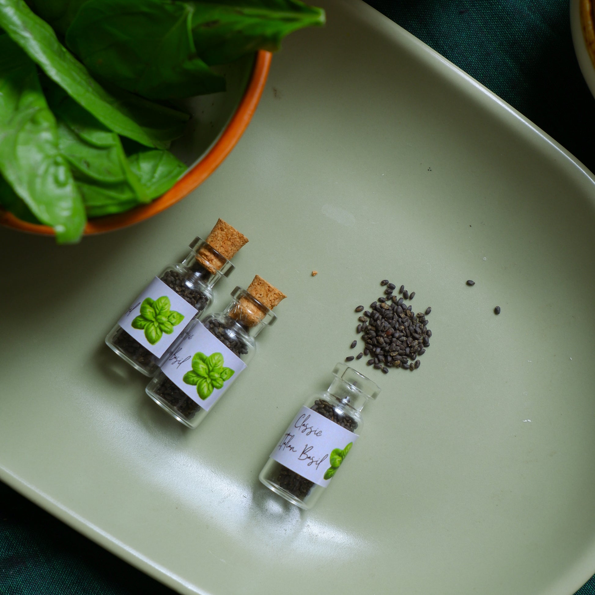 Eco-Friendly return gifts Italian Basil Seeds