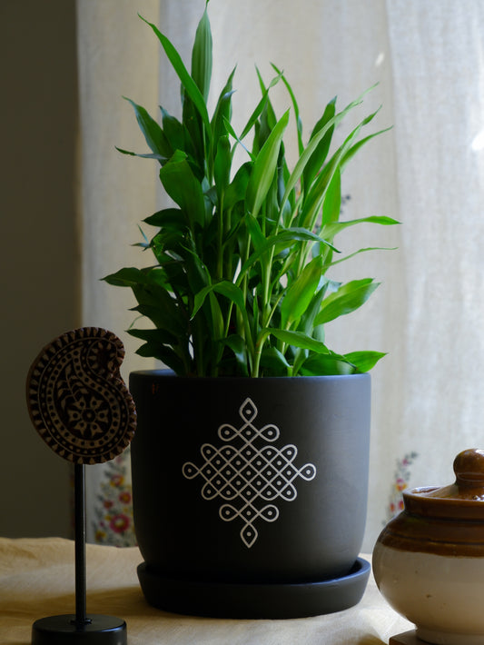 6-inch black terracotta planter with white Kolam print
