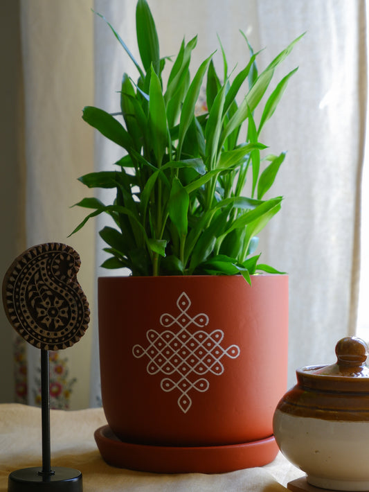 6-inch terracotta planter with white traditional Sikku Kolam print