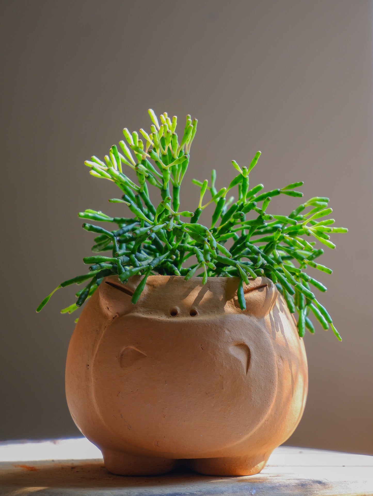 Gloria Terracotta Planter