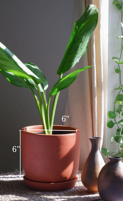 Shop online best Terracotta Planters for indoor plants. Delivered all India